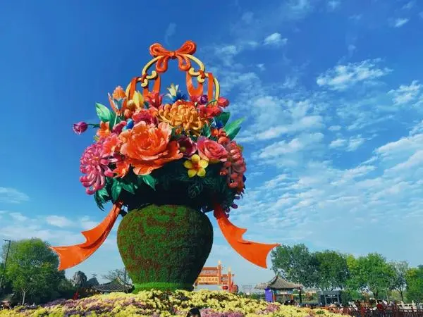 關於賞菊這件事，主會場有話說！