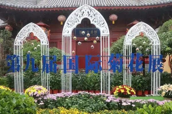 關於賞菊這件事，主會場有話說！