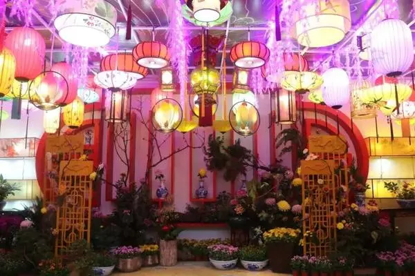 關於賞菊這件事，主會場有話說！