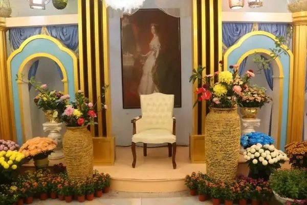 關於賞菊這件事，主會場有話說！