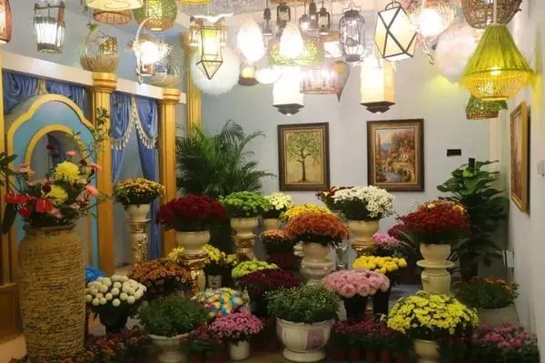 關於賞菊這件事，主會場有話說！