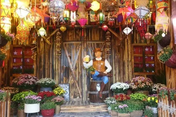 關於賞菊這件事，主會場有話說！