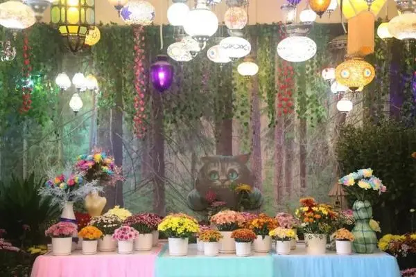 關於賞菊這件事，主會場有話說！