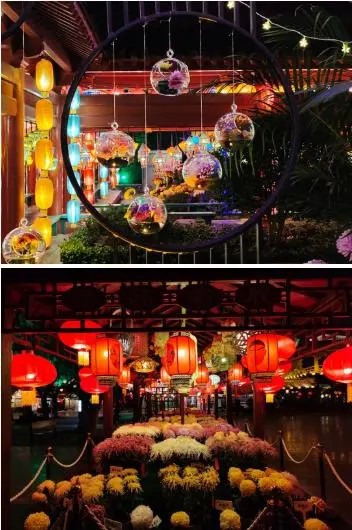 關於賞菊這件事，主會場有話說！