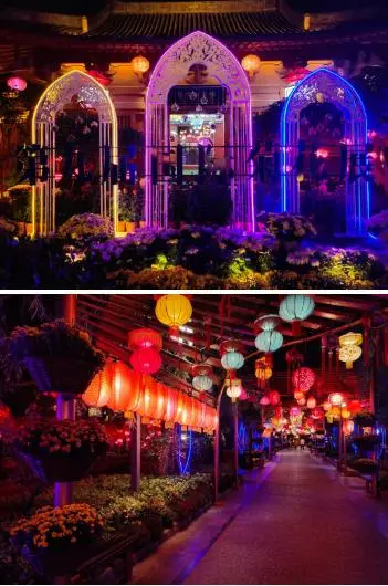 關於賞菊這件事，主會場有話說！