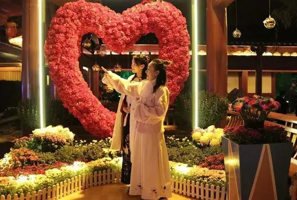 關於賞菊這件事，主會場有話說！