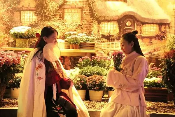 關於賞菊這件事，主會場有話說！