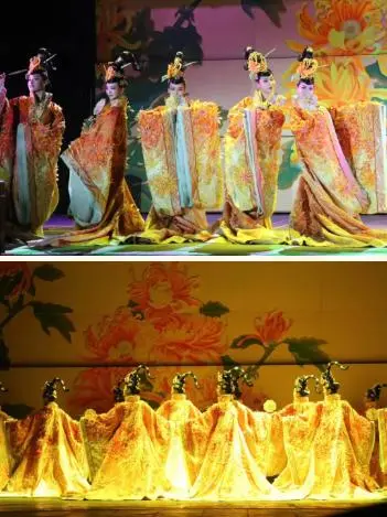 關於賞菊這件事，主會場有話說！