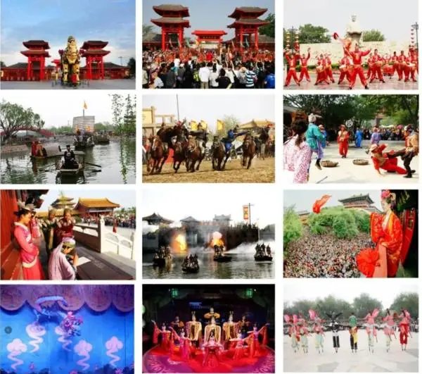 關於賞菊這件事，主會場有話說！