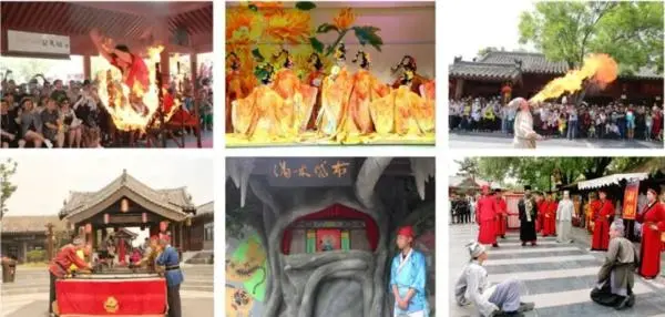 關於賞菊這件事，主會場有話說！