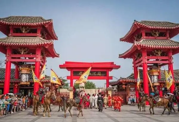 關於賞菊這件事，主會場有話說！