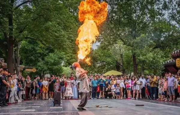 關於賞菊這件事，主會場有話說！