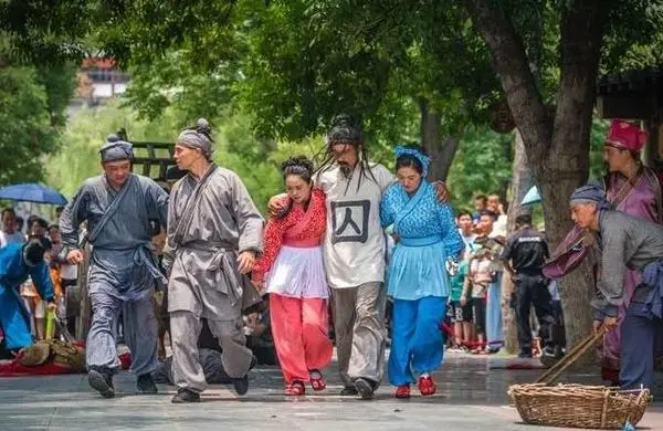 關於賞菊這件事，主會場有話說！