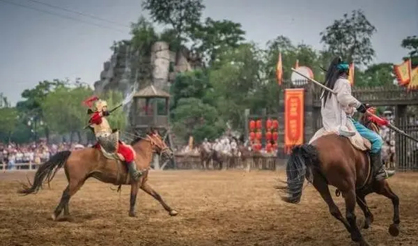 關於賞菊這件事，主會場有話說！