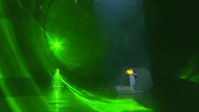 關於賞菊這件事，主會場有話說！