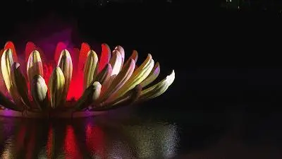 關於賞菊這件事，主會場有話說！