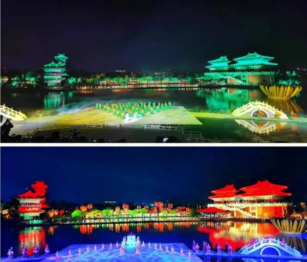 關於賞菊這件事，主會場有話說！