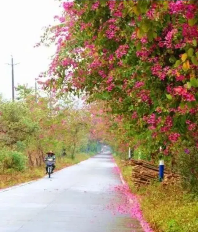 心理测试：你会在哪条小路上晨跑？一秒测出你最近需要注意什么！