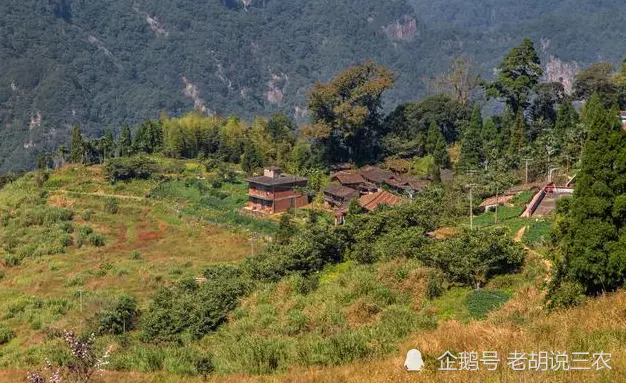 農村俗語：“屋對埡口墳對尖，家出才子苦變甘”，是真的嗎？