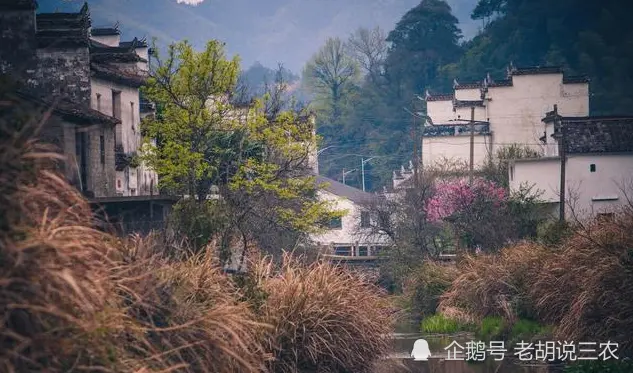 農村俗語：“屋對埡口墳對尖，家出才子苦變甘”，是真的嗎？