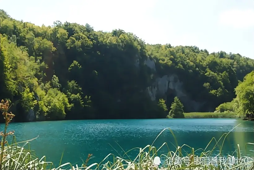 十一月中旬开始，鸿福旺盛，春风得意，好运降临的生肖