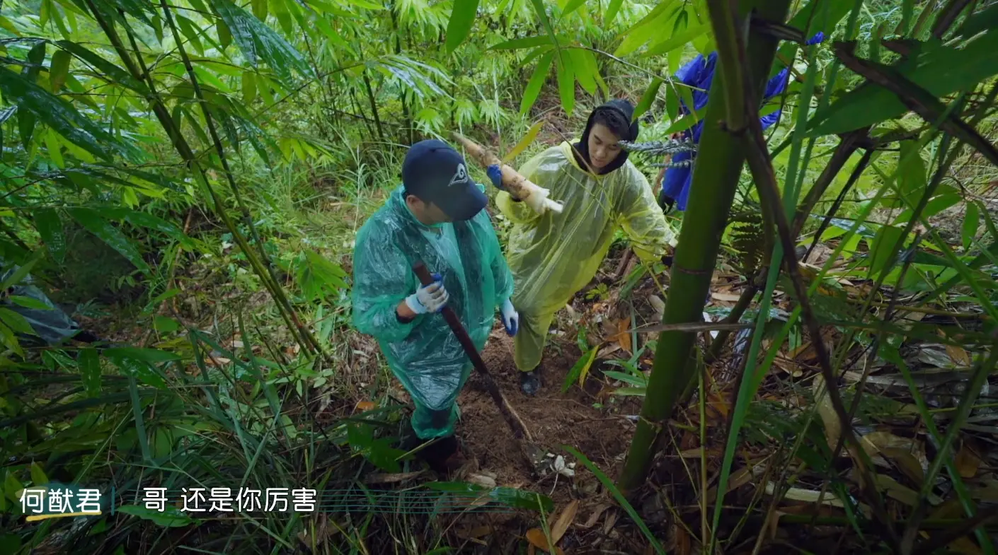 吴京手把手教何猷君挖笋、吃糖蒜的样子，像极了他爹