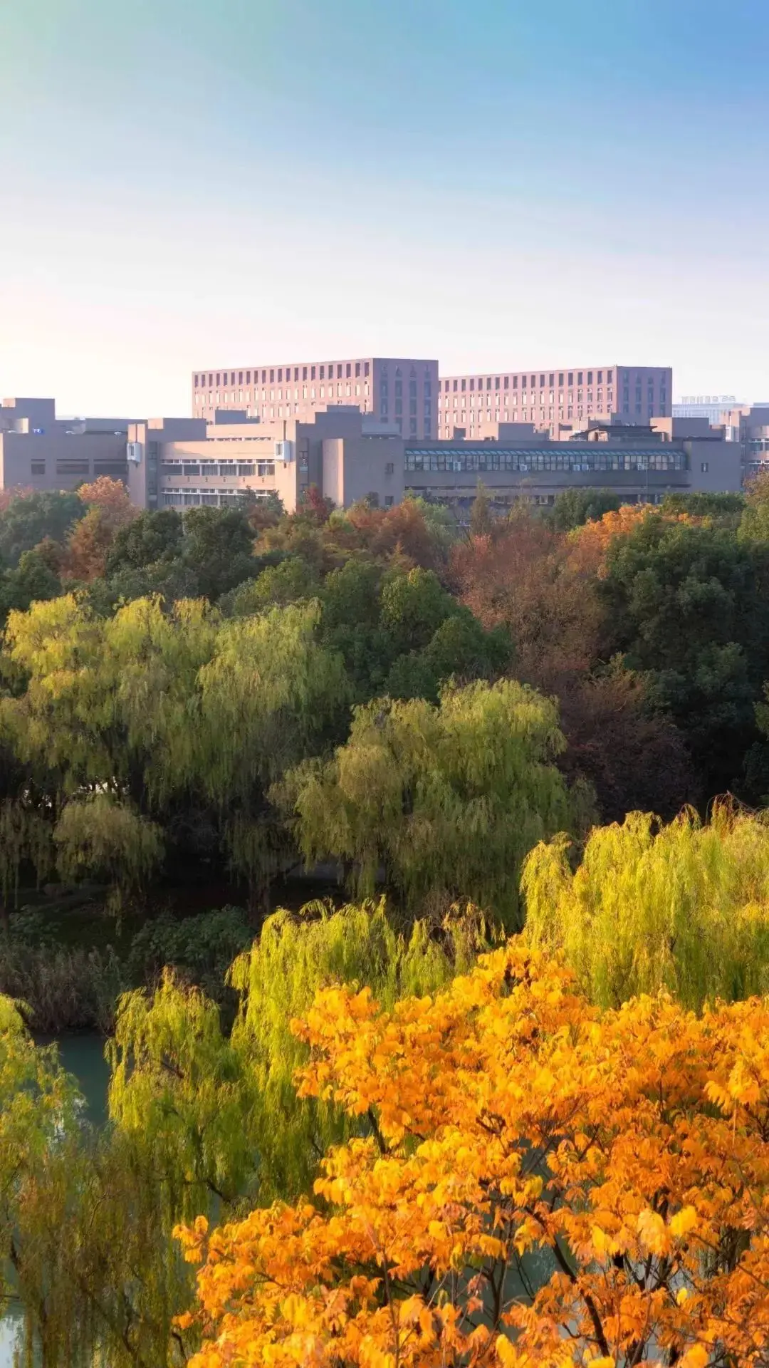 你的理想大学，被做成手机壁纸了！自取！