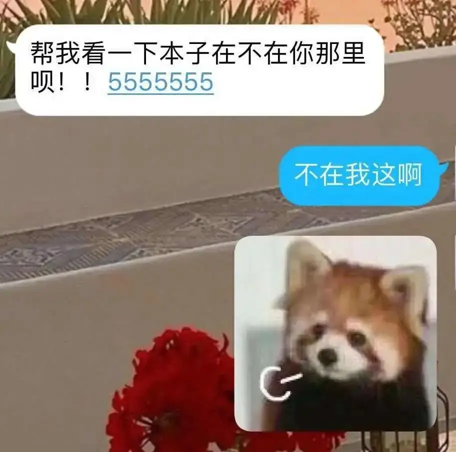 这是你在宿舍的样子？