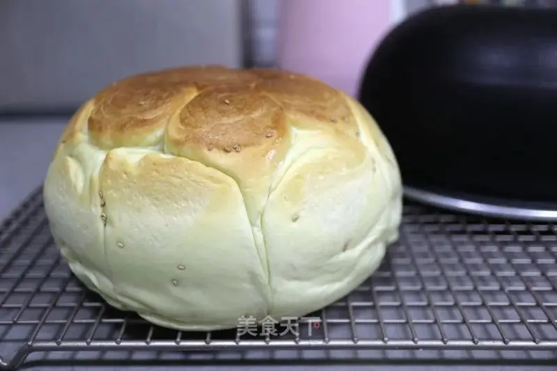 只需一个电饭煲就能搞定的美味！小白一看就会！超有食欲，太香了