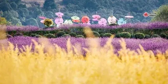 赶紧安排！川内多个旅游景区打折或免费啦