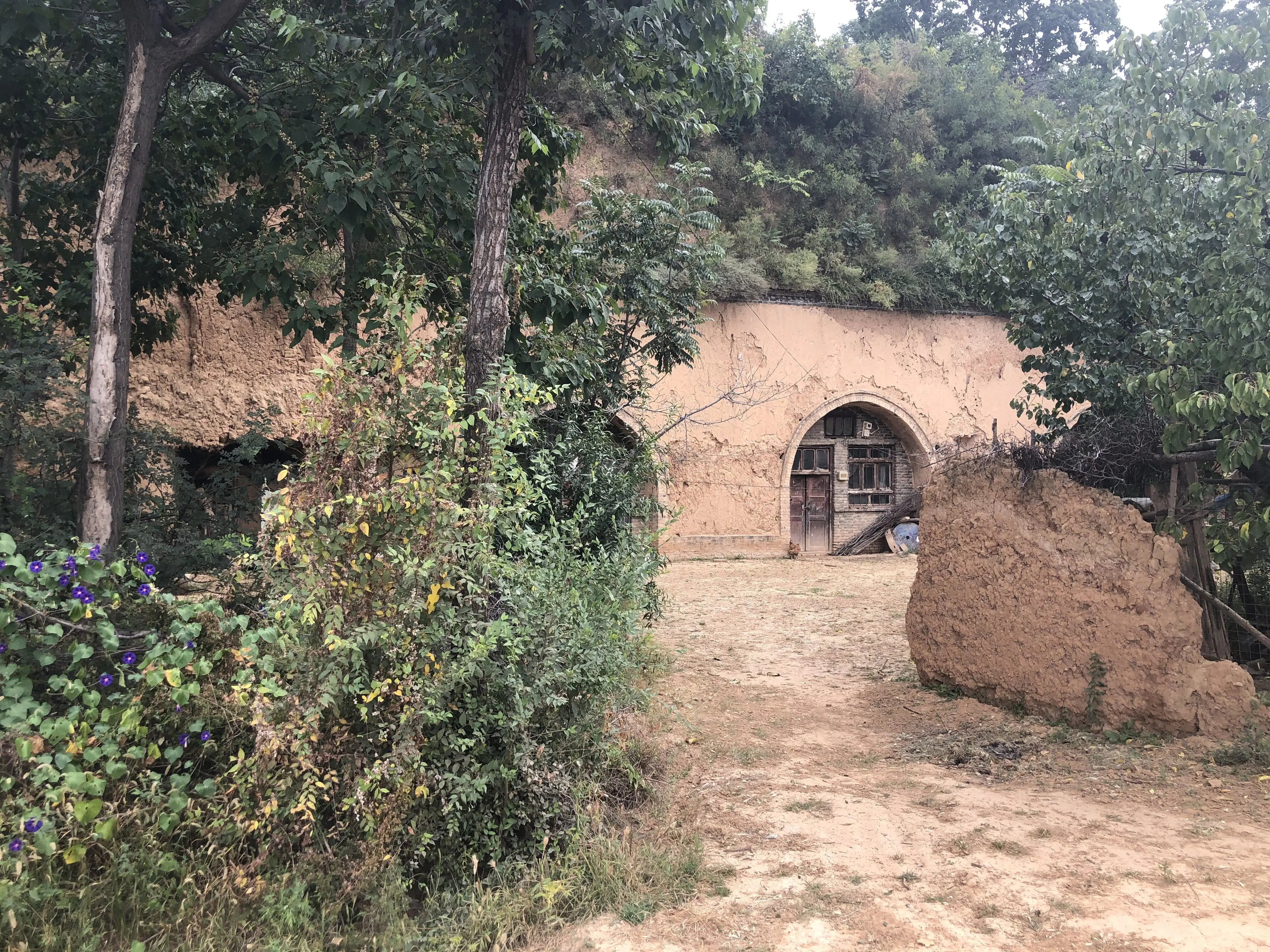 俗话说：“人住麻雀屋，辈辈出栋梁”，为何“麻雀屋”会出栋梁？