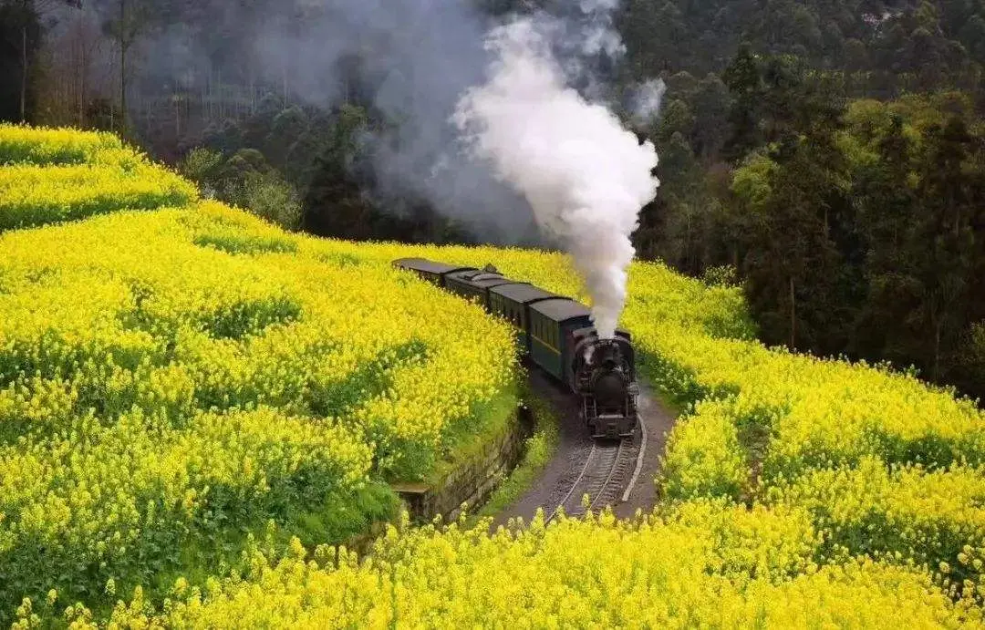 中国唯一正常运行的蒸汽火车，2小时走20公里，成著名旅游路线