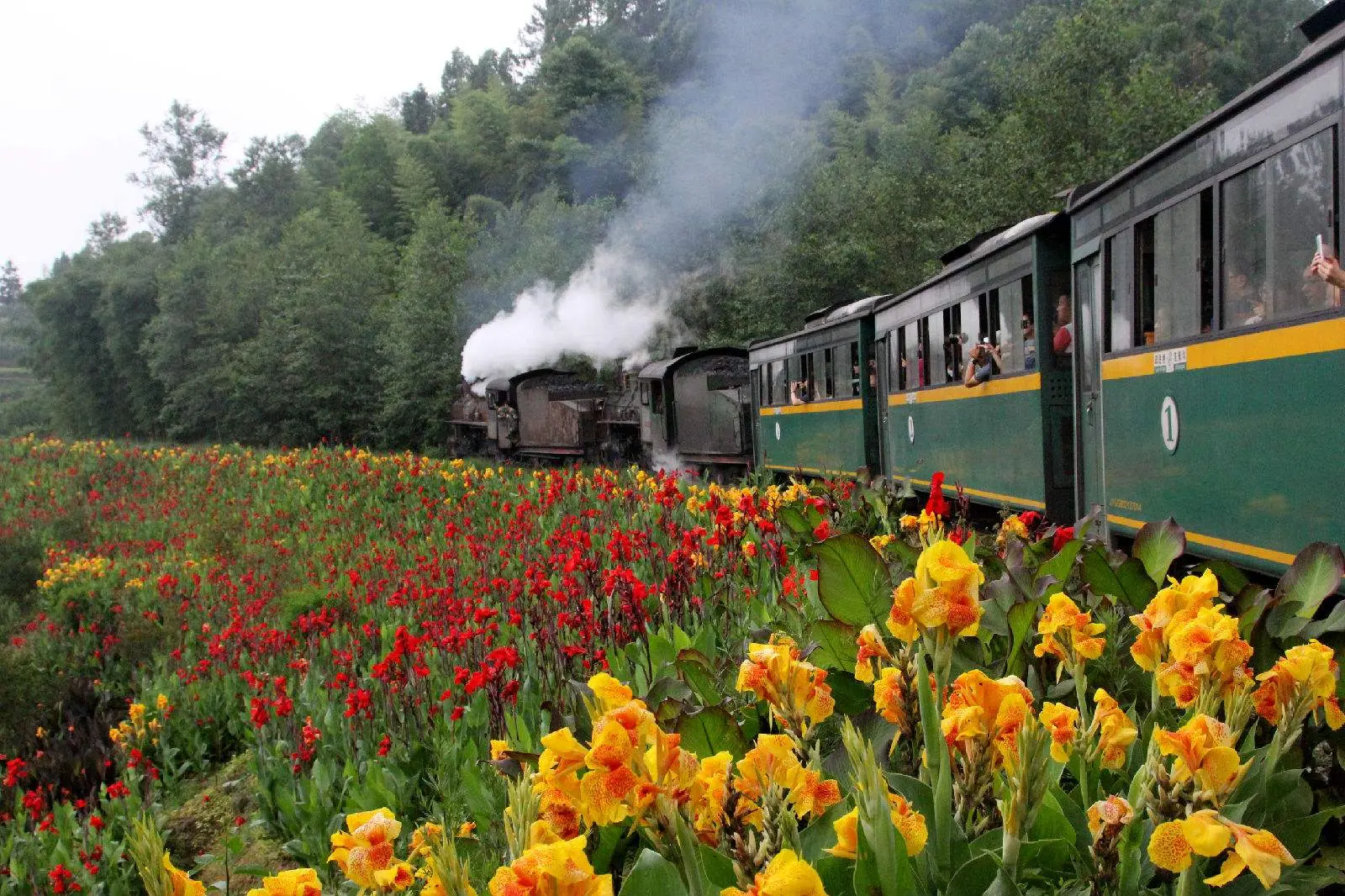 中国唯一正常运行的蒸汽火车，2小时走20公里，成著名旅游路线