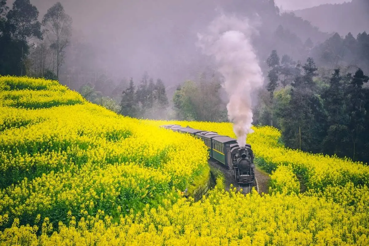 中国唯一正常运行的蒸汽火车，2小时走20公里，成著名旅游路线