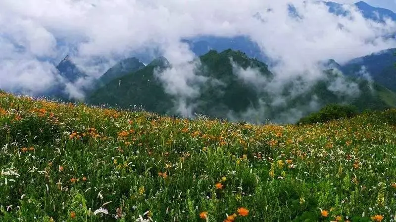 河北一“黑马”景区，有望被5A砸中，尚未完全开发可去一观