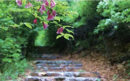 河北一“黑马”景区，有望被5A砸中，尚未完全开发可去一观