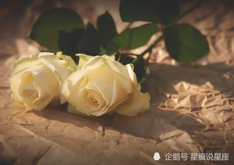 摩羯座的人為什麼這麼冷？