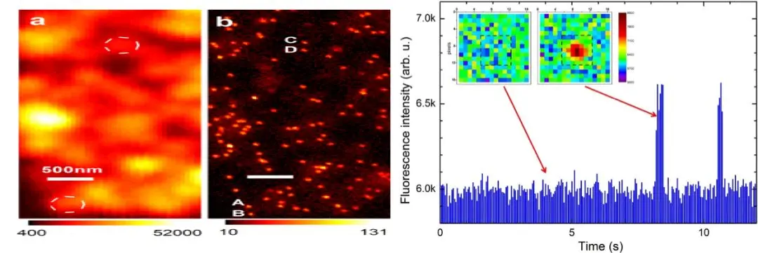 量子计算优越性的里程碑，中国科学家是怎么做到的？