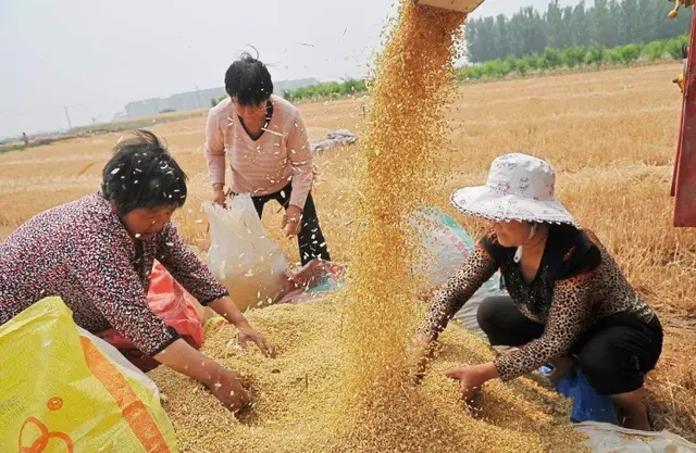 这几个月份出生的孩子，长大后一般很有福气，中了一个也要恭喜