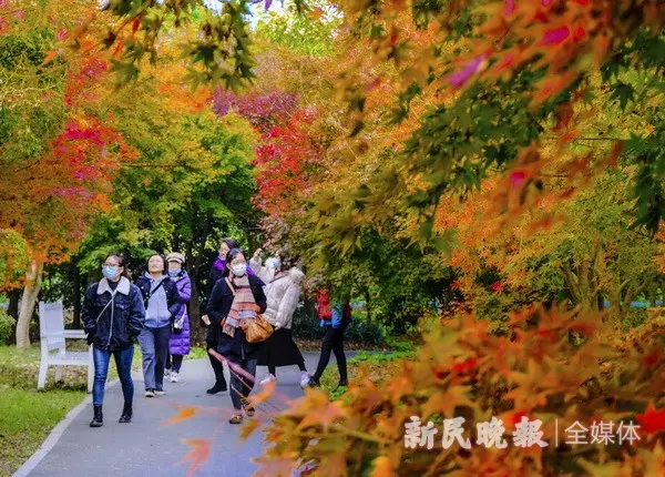 色彩缤纷生态园