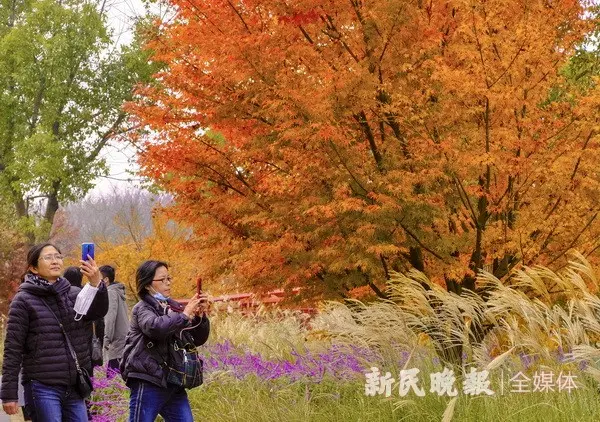 色彩缤纷生态园