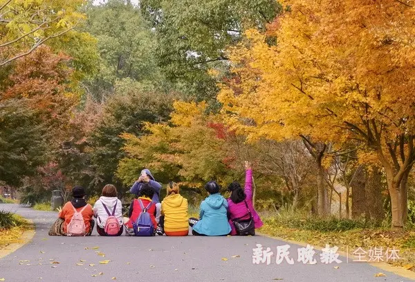 色彩缤纷生态园
