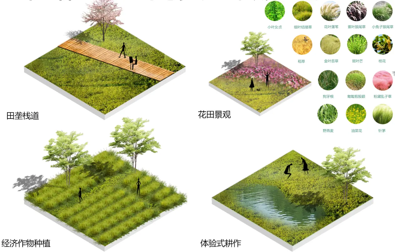 重庆大学团队连续两年获全国设计比赛一等奖