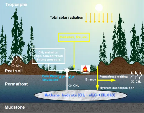 野火哪来的？多年冻土退化区地质甲烷排放了解一下