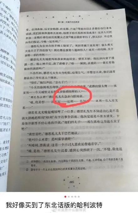 买了本东北版哈利波特！字幕组都被带偏了？