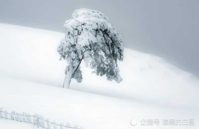 12月上旬开始，财运高涨，事业一直发，旗开得胜的生肖