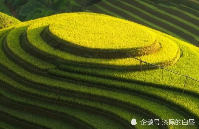 12月上旬开始，钱财大赚，财气如日中天，事业高升的生肖