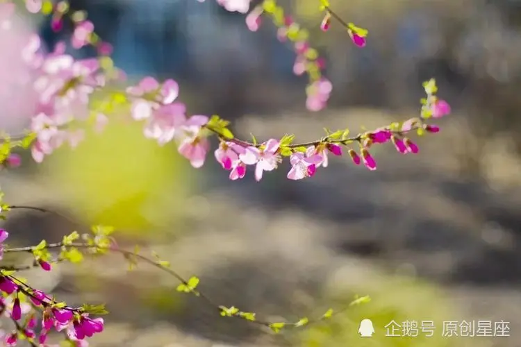 直到遇到这些星座，巨蟹座才会付出所有，爱到毫无保留！