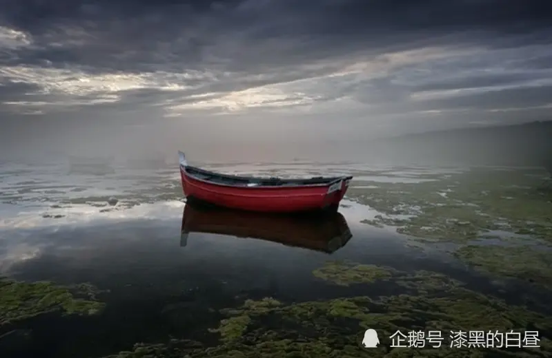 12月上旬开始，钱财大赚，贵人助力，运势升温的生肖