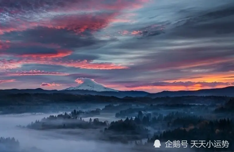 12月上旬开始，横财大发，钞票成山，万事一顺百顺的生肖